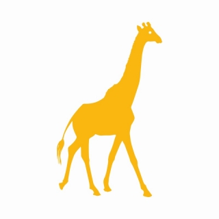 Žirafa